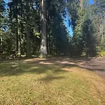 Le Cocon Des Marmottes Dağ evi Gérardmer