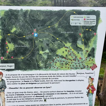 Le Cocon Des Marmottes Vue Imprenable Confort De Gamme & Services Sur Mesure * Gérardmer