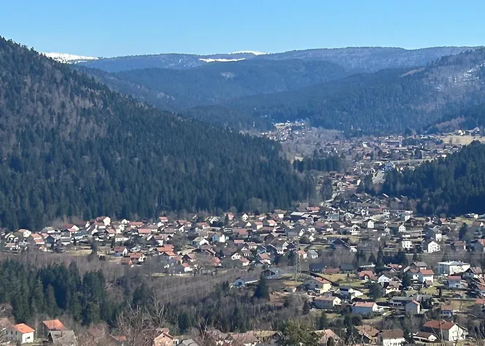 Le Cocon Des Marmottes * Gérardmer