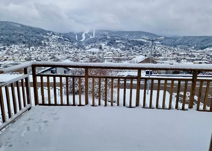 Le Cocon Des Marmottes Alpesi faház Gérardmer